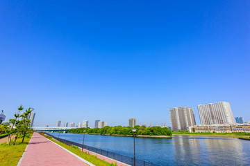 豊洲ぐるり公園 Toyosu Gururi park