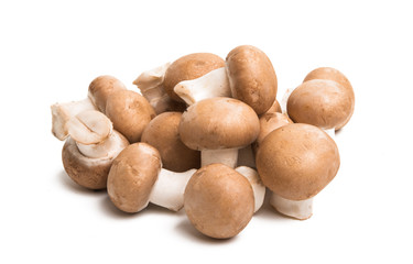 Fototapeta na wymiar royal mushrooms isolated