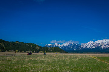 Fototapeta premium Beautiful landscape of the Grand Tetons range and peaks located inside the Grand Teton National Park, Wyoming, with house mountain covered with snow in the horizont
