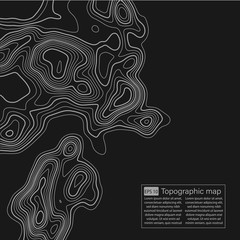 Topographic map. Topographical background. Linear graphics. Vector illustration.
