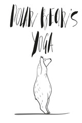 funny yoga with polar bear, fitness white bears, yoga poses, Surya Namaskara meditation. Ashtanga vinyasa yoga poses