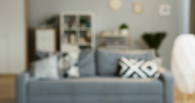 Blurred interior of the cozy living room of the modern designed flat: gray couch with pillows and cupboard with shelves behind. Indoors