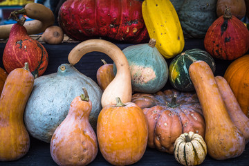 Collection of pumpkins at a farmers market