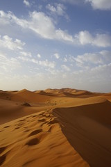 Fototapeta na wymiar Sahara Desert (Erg Chebbi)