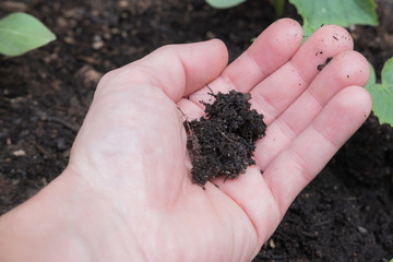 Erde in der Hand- Gartenarbeit