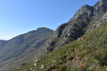 Obraz premium Wonderful nature on the plate clip hiking path on the Table Mountain in Cape Town, South Africa