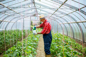 Farm fresh veggies