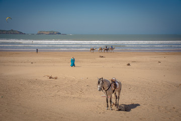 Beaches in Essaouira, Morocco