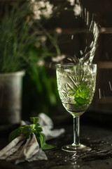 mint lemonade and fresh mint (fresh petals of mint in the cooled drink) - mojito