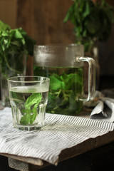 mint lemonade and fresh mint (fresh petals of mint in the cooled drink) - mojito