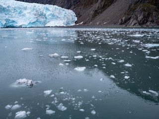 Floating ice