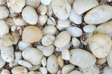 white stone texture background ,close up