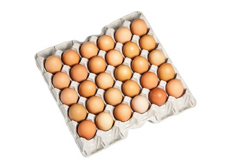 chicken eggs in the cardboard egg tray