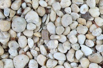 white stone texture background ,close up