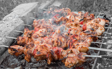 Close up shot of appetizing hot shish kebab with tomatoes on metal skewers prepares on the coals outdoors. Grilling shashlik on barbecue grill.