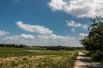 German countryside with forests, fields and meadows