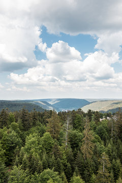 German countryside in the middle of the Black Forest