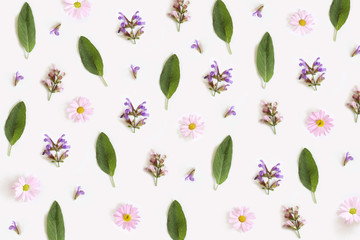 Pattern from flowers of pink daisy and sage isolated on white background, flat lay, top view. The concept of spring.