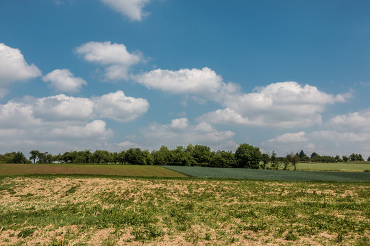 German countryside with forests, fields and meadows