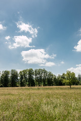 German countryside with forests, fields and meadows