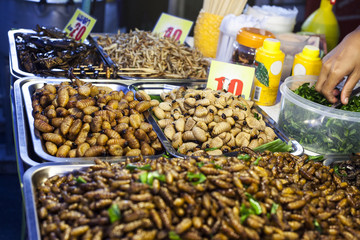 Thai food fried worms and insects, market