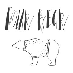 White bears wear wool pullover . Polar bears inskription. Nordic bear in warm pullover. Scandinavian design. Outline white bear.