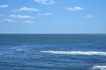 大王崎の海