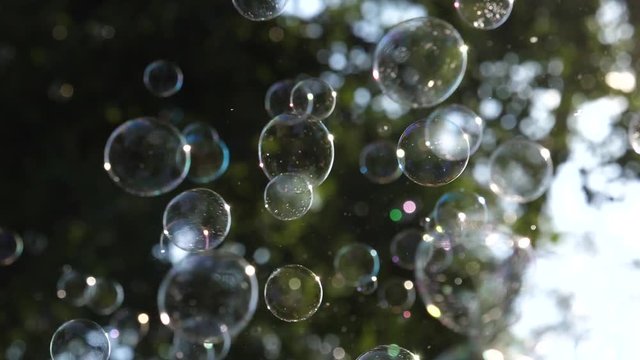 Park festival open air amusing with flying soap bubbles in slow motion