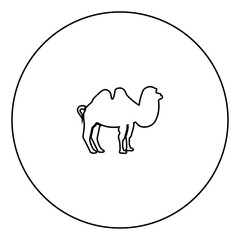 Camel black icon in circle outline
