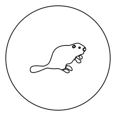 Beaver black icon in circle outline