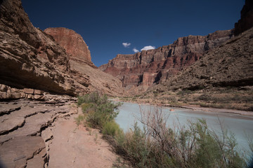 Grand Canyon River
