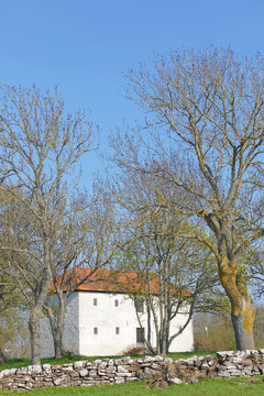 Traditional white building with limed walls and tile roof among trees and a stone wall outside the city Borgholm at the island Oland in Sweden