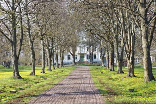 Avenue and a gravelled footpath leading to the queen Victorias hotel and rest home outside the city Borgholm at the island Oland in Sweden