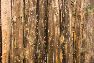 Wooden background is from an old fence