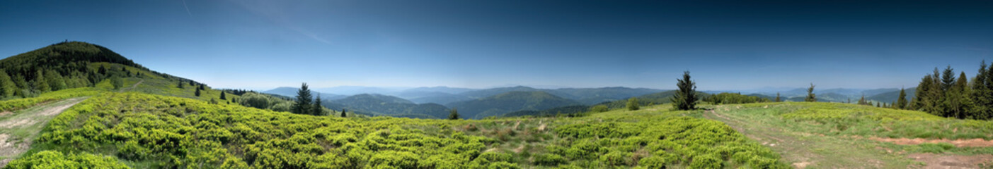 Fototapeta na wymiar Panorama ze stumorgowej polany - Mogielica - Beskid Wyspowy
