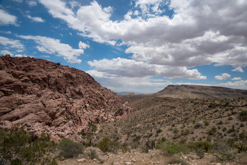 Desert Landscape Beauty