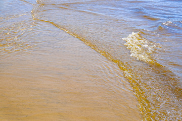 Sandbank, the wave rolls to the shore. Summer. Sandy beach. Sea dried up broken cane on the sand. Blue sky, clouds. Rest. Vacation. Swimming sunbathing.