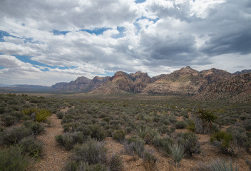 Naklejka premium Desert Landscape Beauty