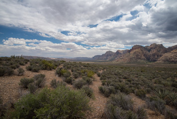 Fototapeta na wymiar Desert Landscape Beauty