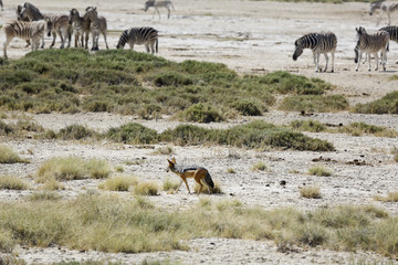 Namibie