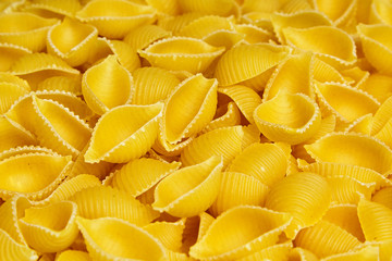 Conchiglioni italian pasta