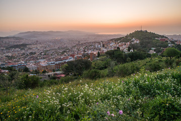 Beautiful viewpoint of Barcelona at sunrise, natural location in spring.
