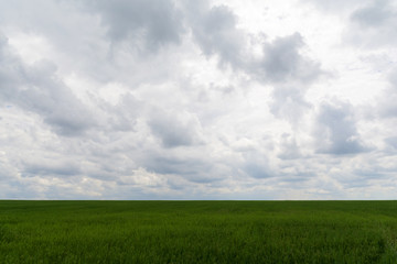 field on a background of cloudy sky