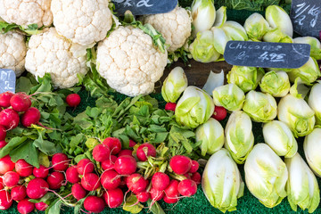 Radish, cauliflower and chicory for sale at a market