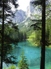 a clear lake in the woods in summer