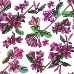 watercolor weigela flower seamless texture pattern background