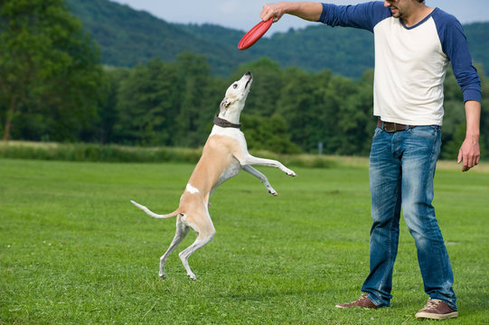 Mann spielt mit einem Hund