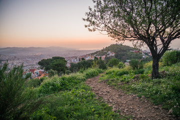 Beautiful viewpoint of Barcelona at sunrise, natural location in spring.