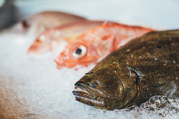 Hirame, olive flounder, bastard halibut or Japanese halibut and assorted fresh raw fishes on...