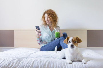 young beautiful woman enjoying a healthy green detox juice on bed. Cute small dog besides. Lifestyle, indoors.